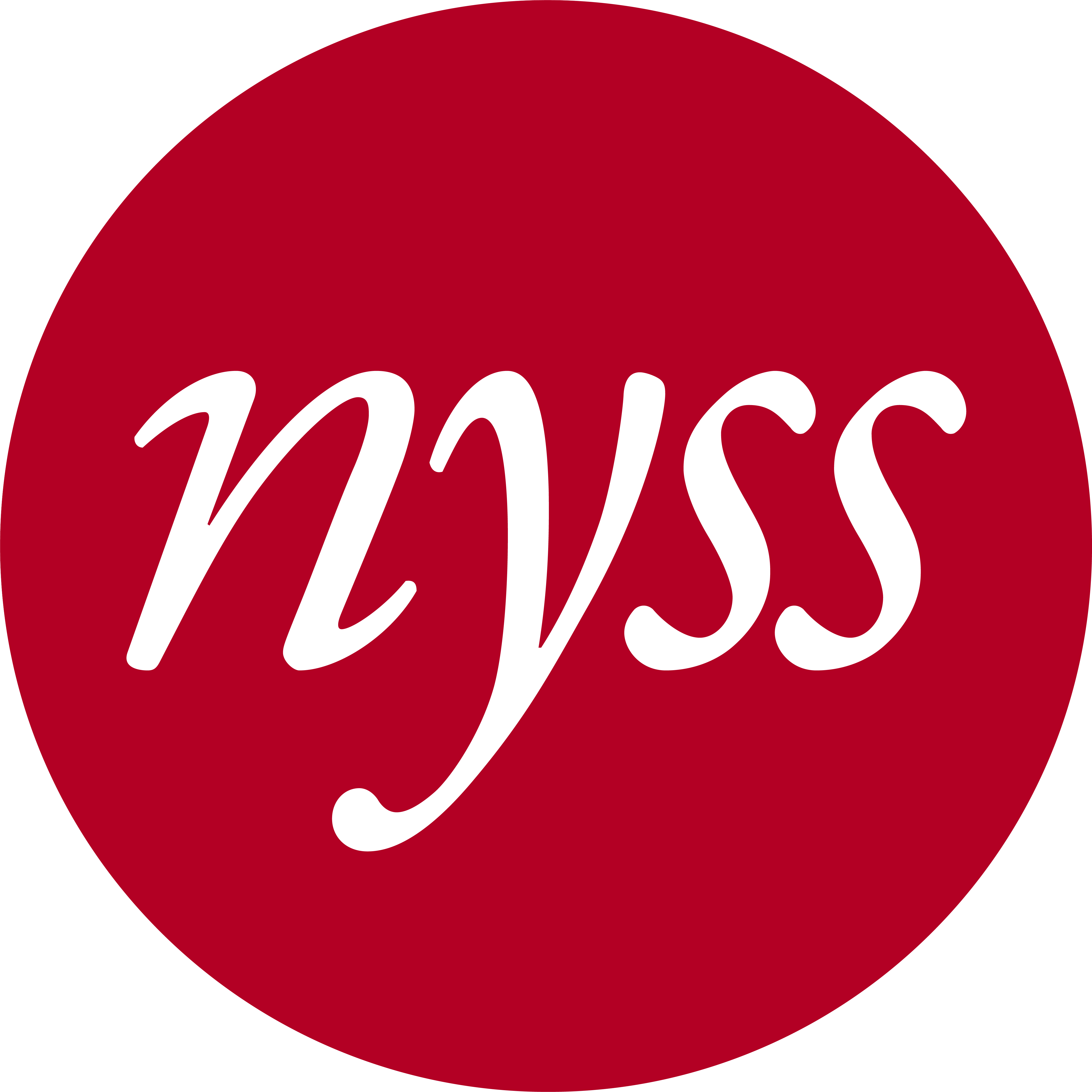 Nyss